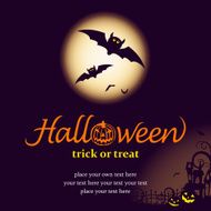 Halloween night with bats