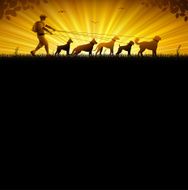 Dog Walker N4