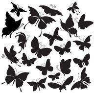 Silhouettes of butterflies