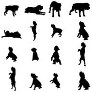 Vector silhouette of a dog N15