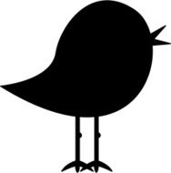 Bird in Silhouette