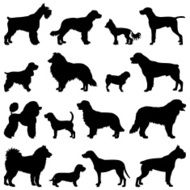 Purebred Dogs Silhouette Set