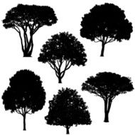Trees silhouettes N3