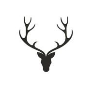 Vector Deer Head