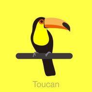 Toucan bird standing on a branch