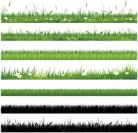 Green grass collection N2