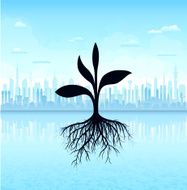 sapling N2