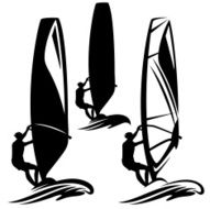 Windsurfer