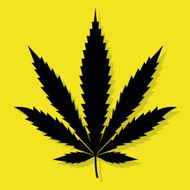 Cannabis symbol silhouette Weed icon Vector