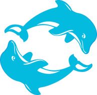 couple of dolphins