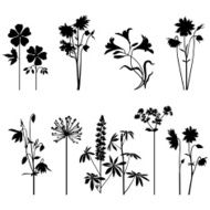 Summer flowers N21