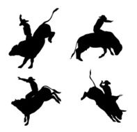 BullRiding