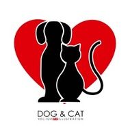 Pet design N3