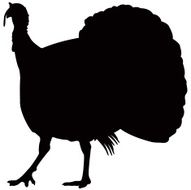 Turkey Silhouette N5