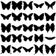 Butterfly Silhouette Collection