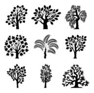 Asymmetrical trees