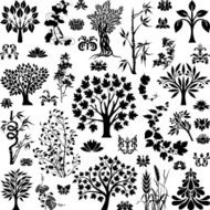 Trees and plants N4