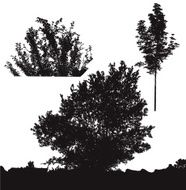 Black Vector Trees