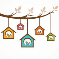 Collection of funny birds in feeders hanging by a branch