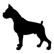 Dog N23