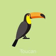 Toucan bird seriers