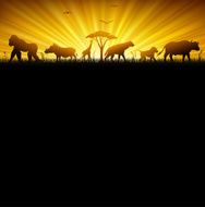 African Savannah