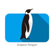 Emperor Penguin Penguin seed seriers N5
