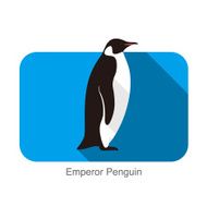 Emperor Penguin Penguin seed seriers N6