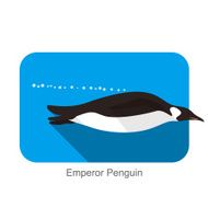 Emperor Penguin Penguin seed seriers N9
