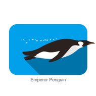Emperor Penguin Penguin seed seriers N10