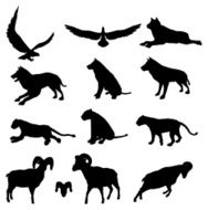Animal Silhouette Collection