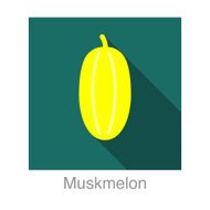 Muskmelon food and drink flat icon series