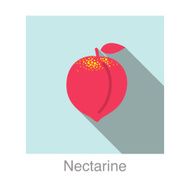 Nectarine food and drink flat icon series
