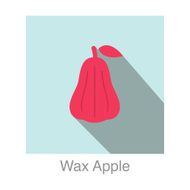 Wax Apple food and drink flat icon series