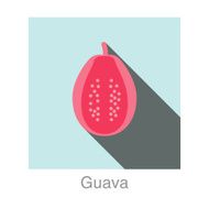 Guava food and drink flat icon series