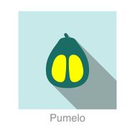 Pumelo food and drink flat icon series
