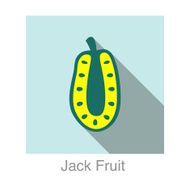 Jack Fruit food and drink flat icon series