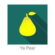 Ya pear food and drink flat icon series