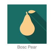 Bosc Pear food and drink flat icon series