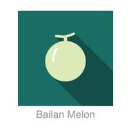 Bailan Melon food and drink flat icon series N2