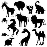 Animals N75