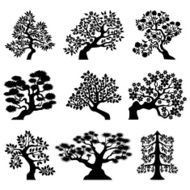 Bonsai trees
