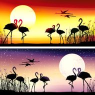 Flamingos silhouettes set
