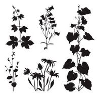 Plants set XIV