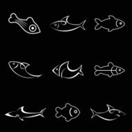 Fish N29