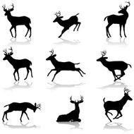deer silhouette collection N2