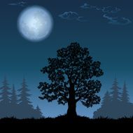 Landscape with oak tree and the moon