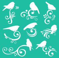 Birds & scrolls