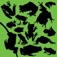 Frogs N3