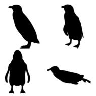 Penguin Silhouette Collection (vector jpg)